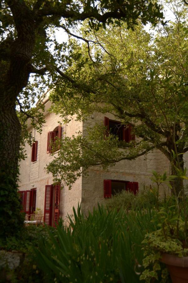Gasthaus Par Tot Locorotondo Exterior foto
